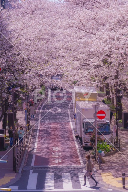 写真のタイトルが入ります