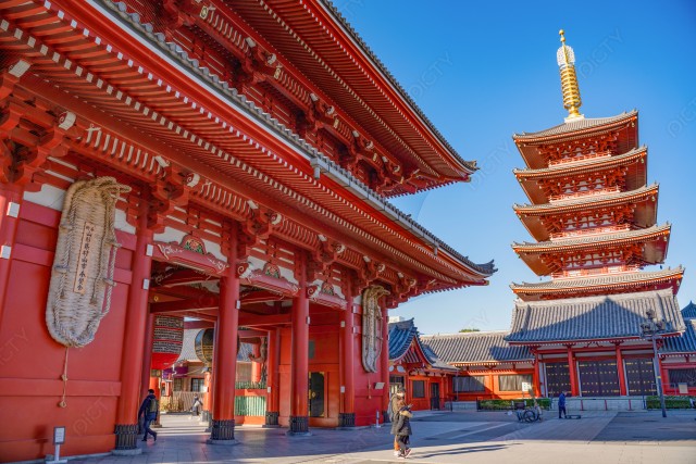 写真のタイトルが入ります