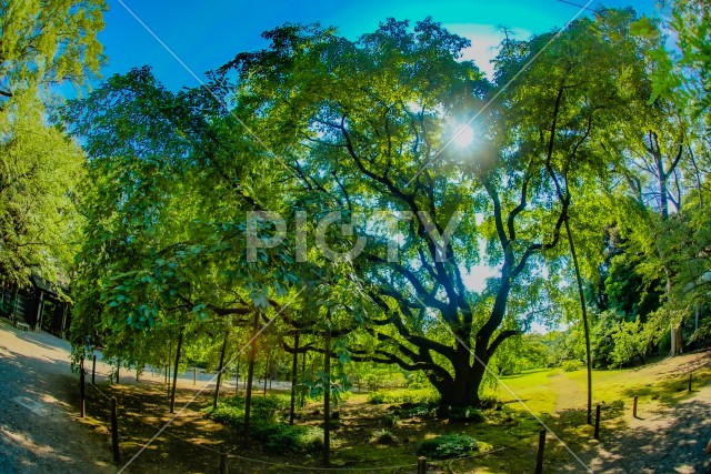 写真のタイトルが入ります