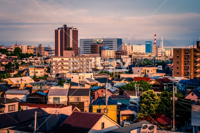 写真のタイトルが入ります