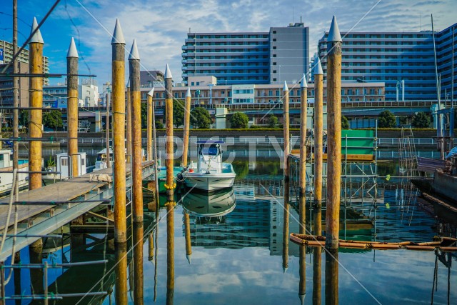 写真のタイトルが入ります