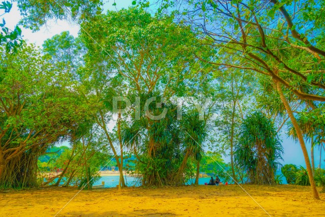 写真のタイトルが入ります