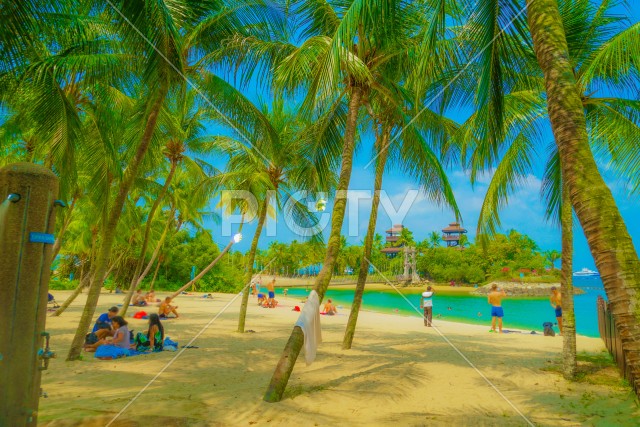 写真のタイトルが入ります