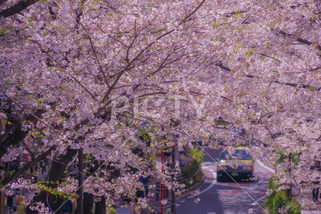 写真のタイトルが入ります