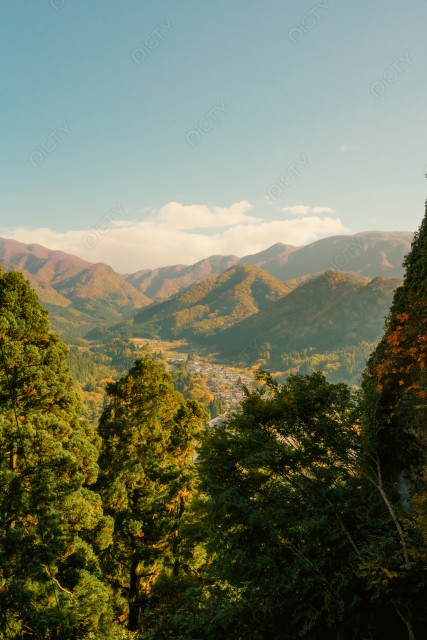 写真のタイトルが入ります