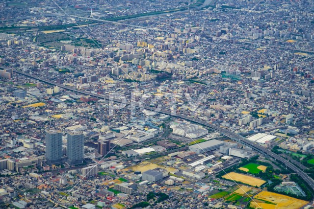 写真のタイトルが入ります