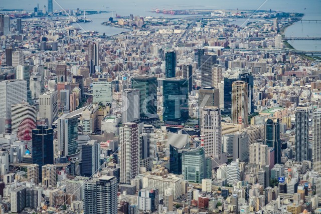 写真のタイトルが入ります