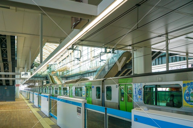 写真のタイトルが入ります