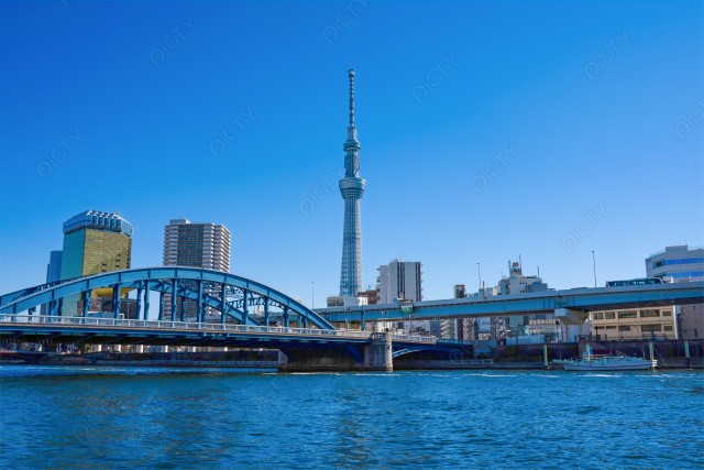 写真のタイトルが入ります