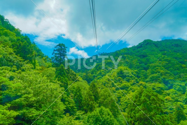 写真のタイトルが入ります
