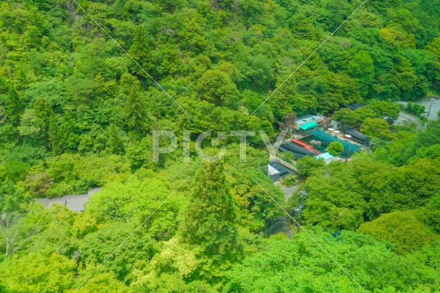 写真のタイトルが入ります