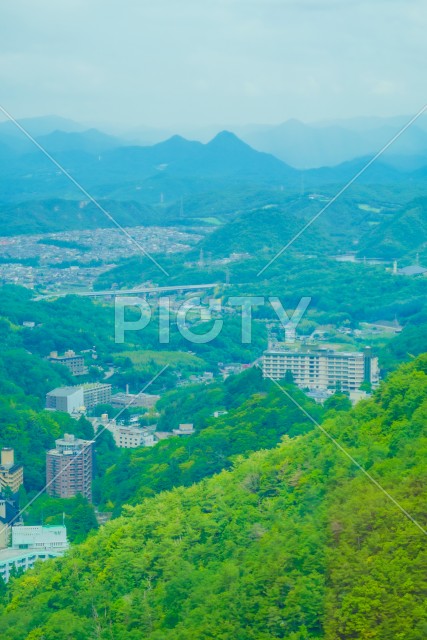 写真のタイトルが入ります