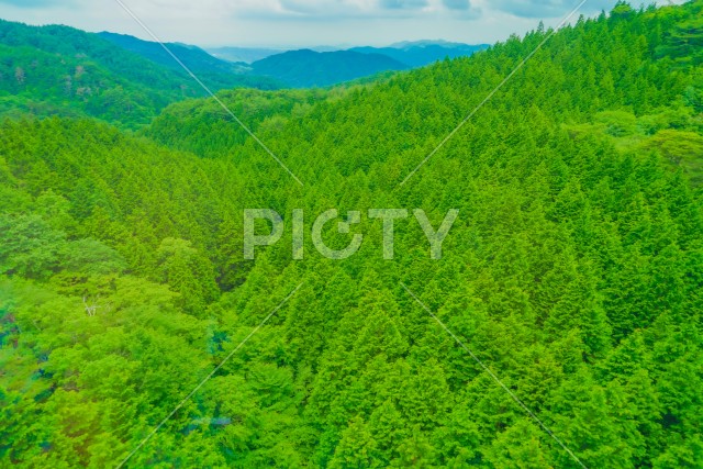 六甲有馬ロープウェイからの景色