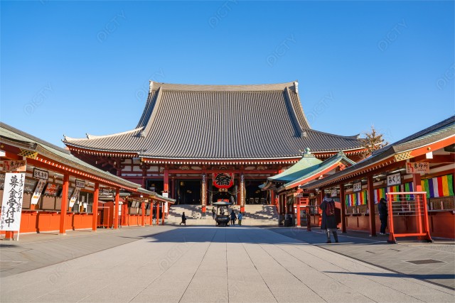 写真のタイトルが入ります