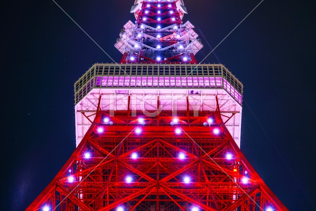 写真のタイトルが入ります