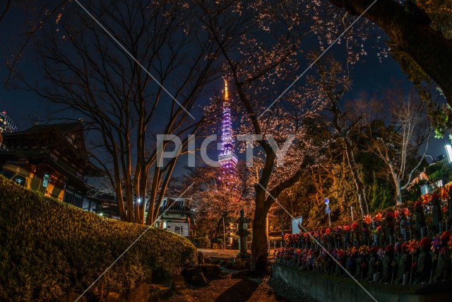 東京タワーのイメージ