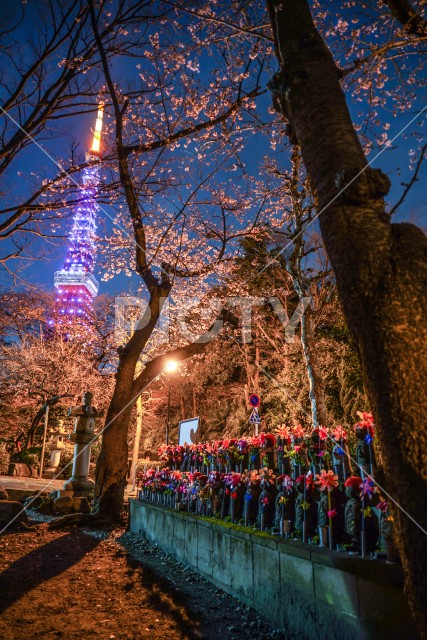 東京タワーと桜と地蔵