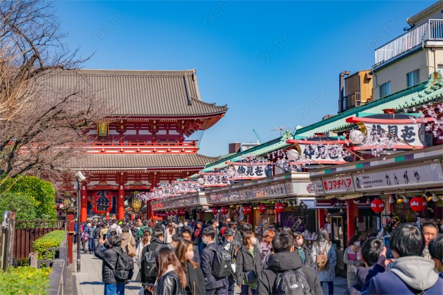 写真のタイトルが入ります