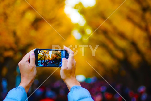 写真のタイトルが入ります