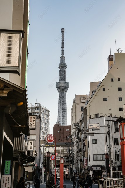 写真のタイトルが入ります