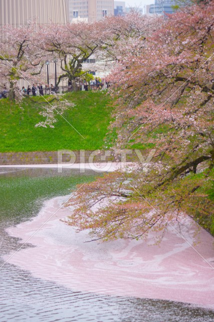 写真のタイトルが入ります