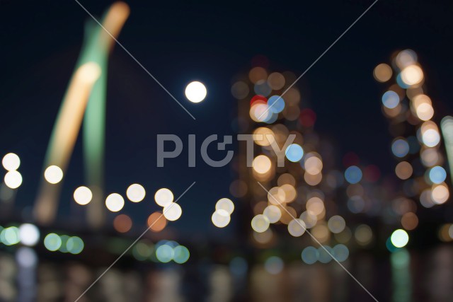 写真のタイトルが入ります