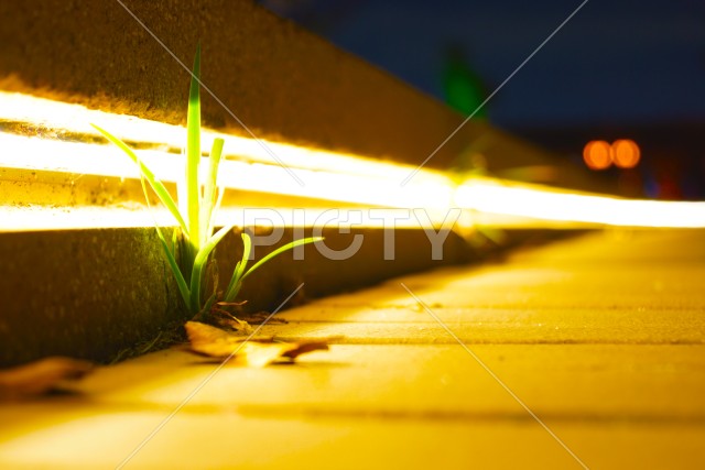 写真のタイトルが入ります