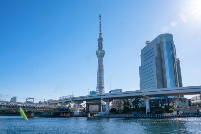 写真のタイトルが入ります