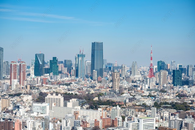 写真のタイトルが入ります
