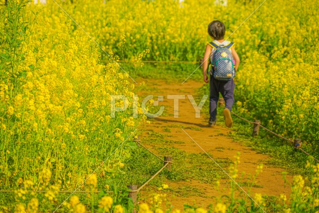 写真のタイトルが入ります