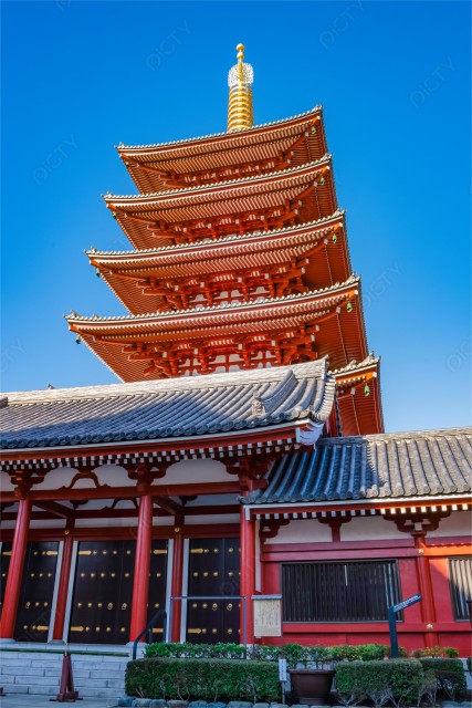 写真のタイトルが入ります