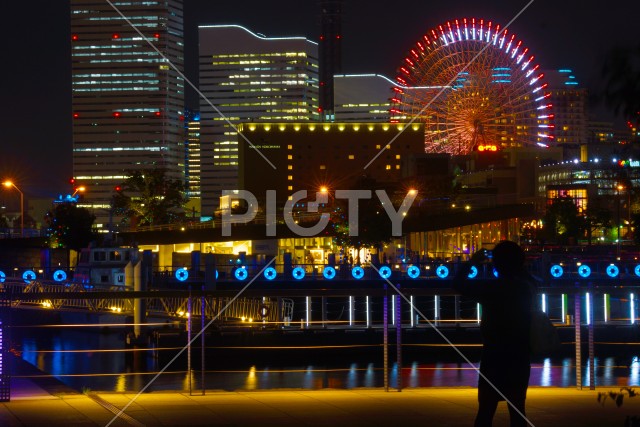 写真のタイトルが入ります