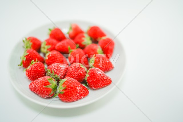 写真のタイトルが入ります