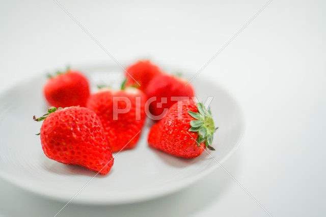 写真のタイトルが入ります