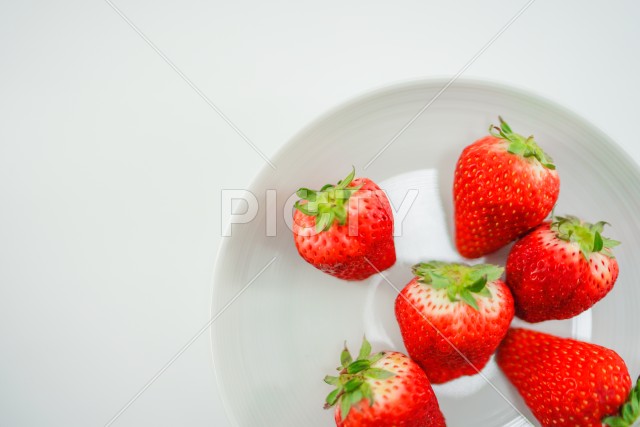 写真のタイトルが入ります