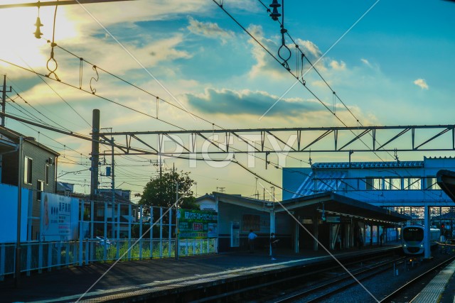 写真のタイトルが入ります