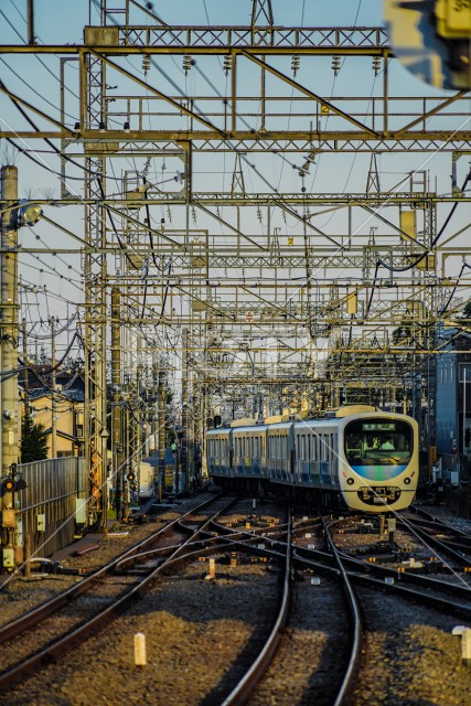 写真のタイトルが入ります