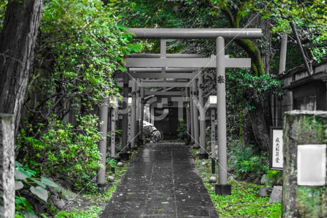 写真のタイトルが入ります