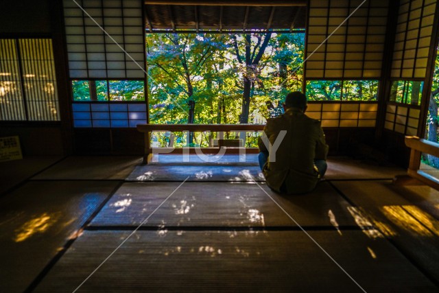 写真のタイトルが入ります