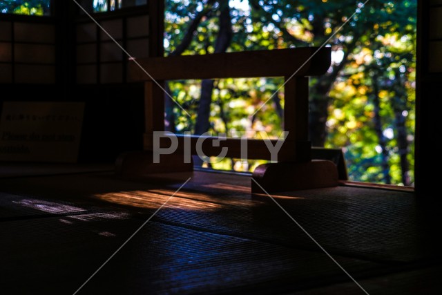 写真のタイトルが入ります