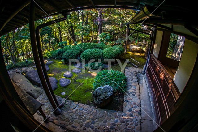写真のタイトルが入ります
