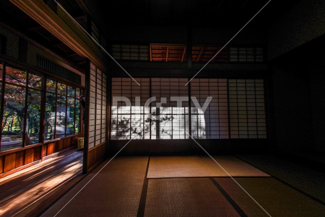 写真のタイトルが入ります