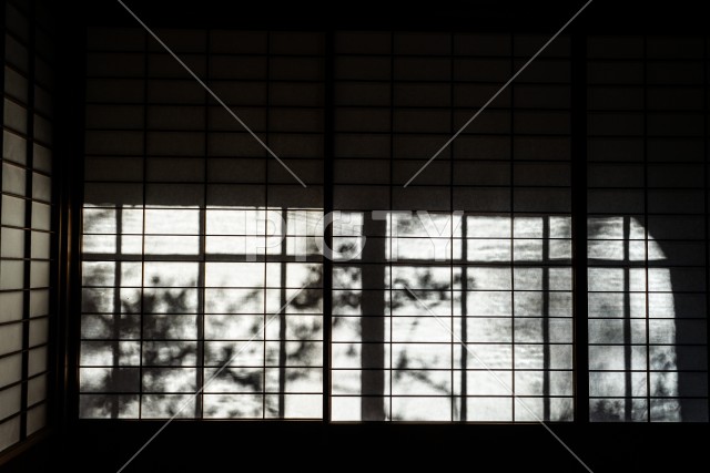 写真のタイトルが入ります