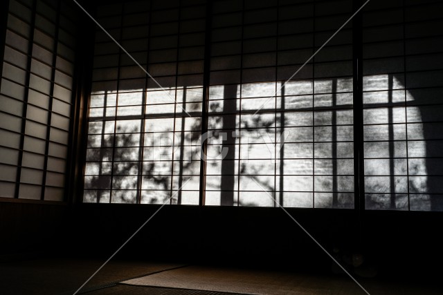 写真のタイトルが入ります