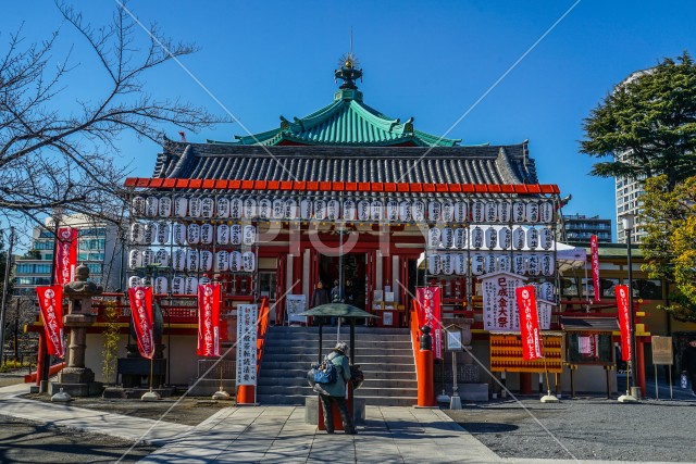 写真のタイトルが入ります