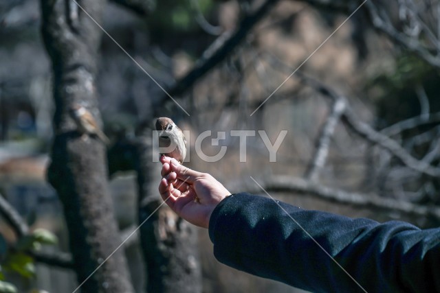 写真のタイトルが入ります