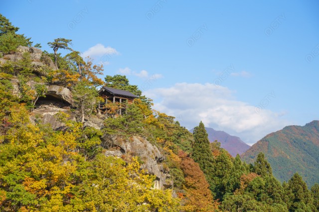 写真のタイトルが入ります