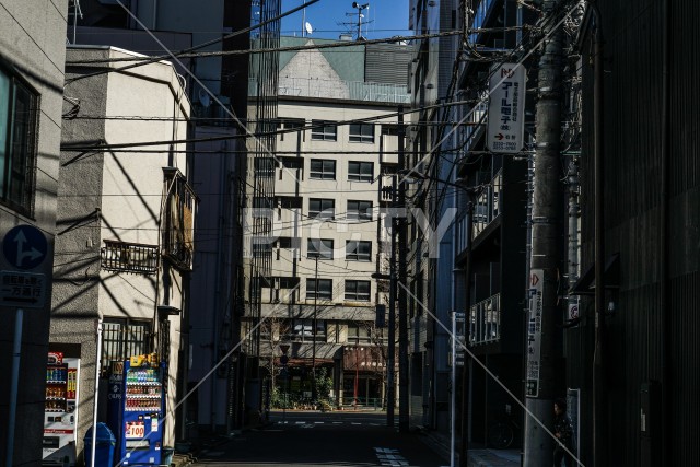 写真のタイトルが入ります