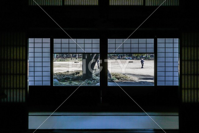 写真のタイトルが入ります
