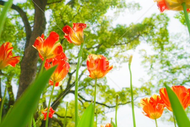 写真のタイトルが入ります